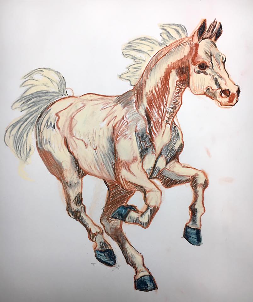 horse